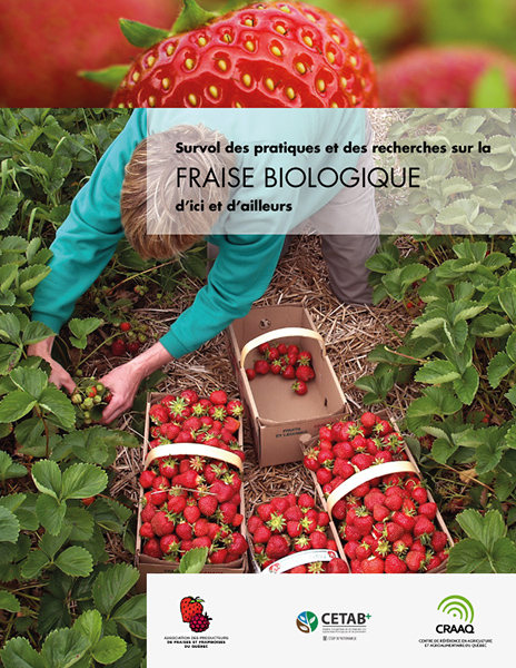Survol des pratiques et des recherches sur la fraise biologique d’ici et d’ailleurs (PDF)