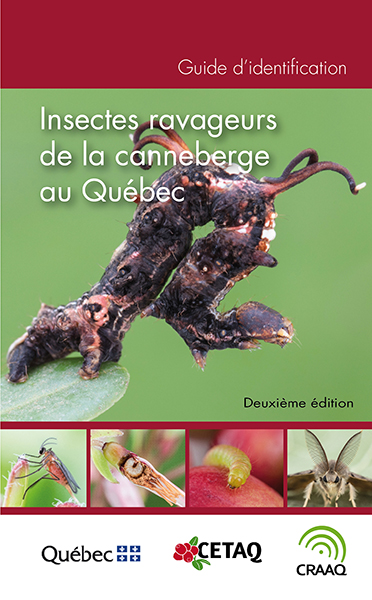 Guide d'identification des insectes ravageurs de la canneberge au Québec (PDF)