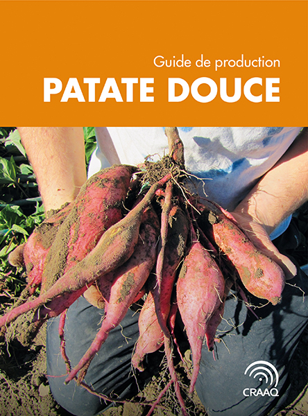 Guide de production - Patate douce (PDF)