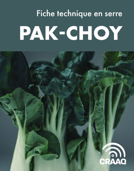 Fiche de production de pak choy en serre (PDF)