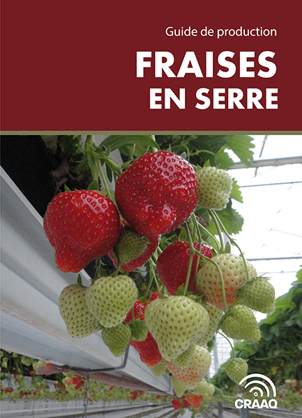 Guide de production : Fraises en serre (PDF)