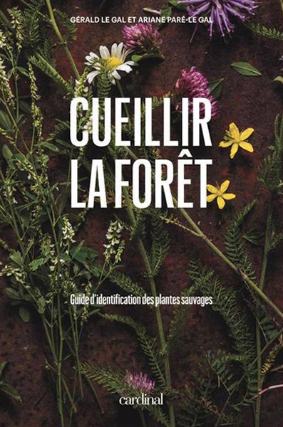 Cueillir la forêt : guide d'identification des plantes sauvages
