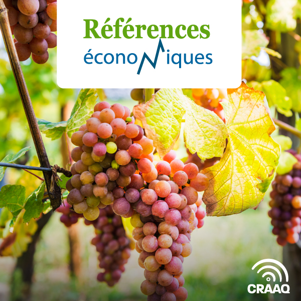 Vignes non rustiques protégées - Budget - 2019