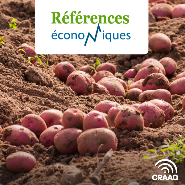 Pommes de terre - Rendement 2015 à 2023