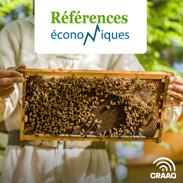 Apiculture - Budget (500 colonies) - 2019