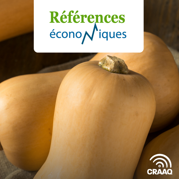 Courge Butternut semée - Budget à l'hectare - Légumes en terre minérale - 2023
