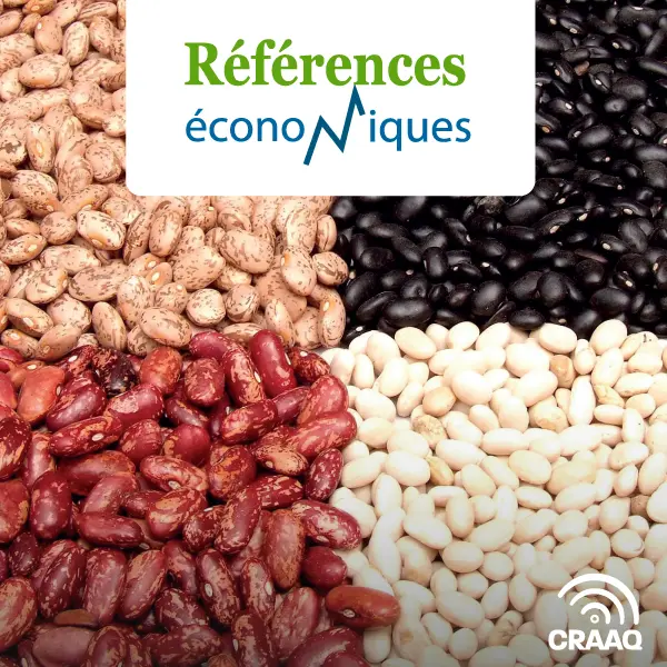 Haricots secs - Rendements 2015 à 2023