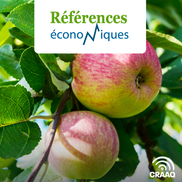 Pommes de transformation - Prix minima négociés - 2025