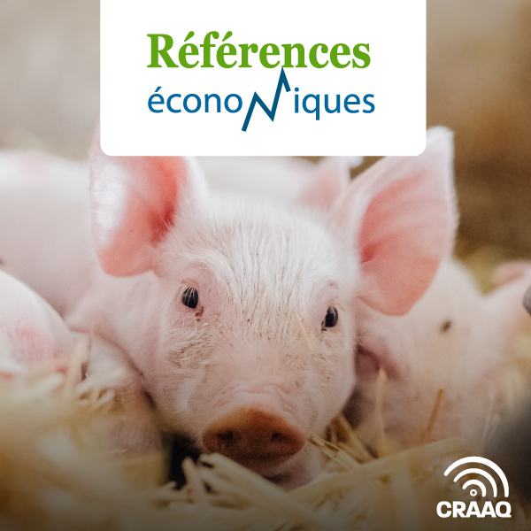 Porcs d'engraissement - Budget - 2020 