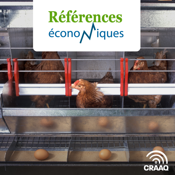 Oeufs de consommation - démarrage d'entreprise de 12 000 poules - Budget d'entreprise - 2025