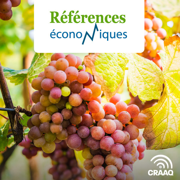 Vignes rustiques non protégées - Budget - Production de raisins - 2019