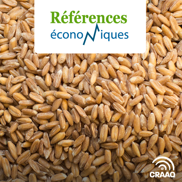 Épeautre de printemps biologique - Budget à l'hectare - 2025