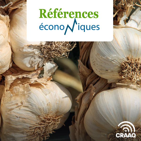 Ail petite surface - Budget d'exploitation - 2023