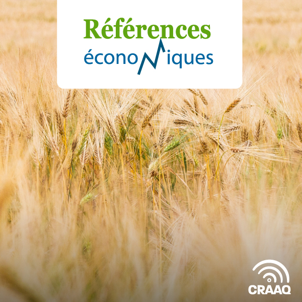 Seigle d'automne biologique - Budget à l'hectare - 2025