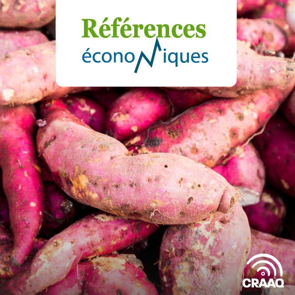 Patate douce - Budget à l'hectare - Légumes en terre minérale - Paillis plastique - 2018 