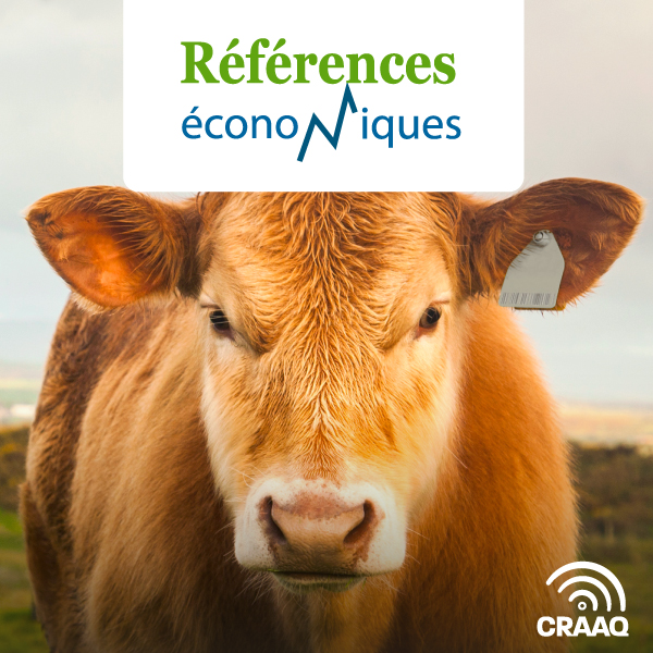 Veaux d'embouche  - Budget 140 vaches - 2019 