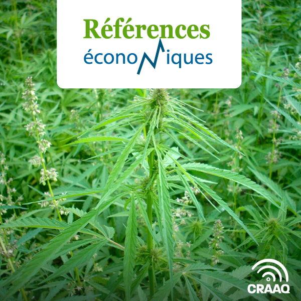 Chanvre conventionnel à double fin - Budget à l'hectare - 2024