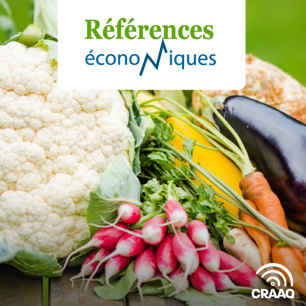 Carotte, légume en terre noire - Budget à l'hectare