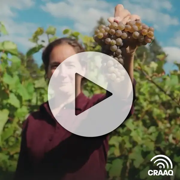 Formation Maître viticulteur