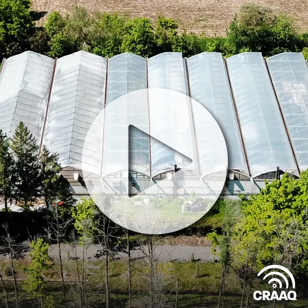 Les défis de la production maraîchère en région nordique