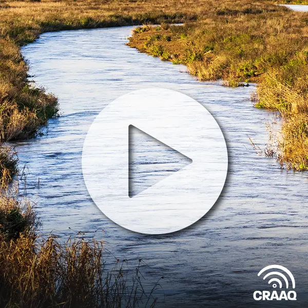 Contamination fécale de l'eau : d'où vient-elle?