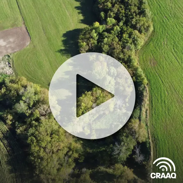 Dynamique de l'eau dans le sol