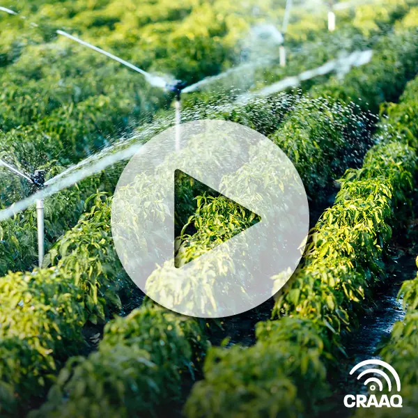 Recherches et innovations en irrigation (2 vidéos)