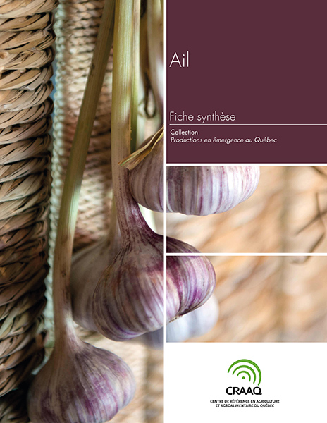 Fiche synthèse - Ail (PDF)
