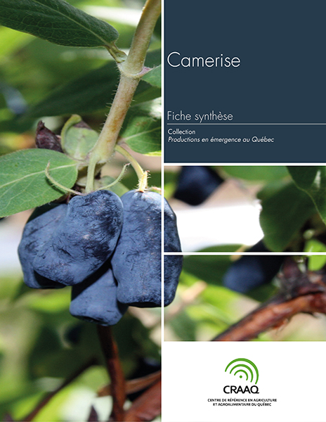 Fiche synthèse - Camerise (PDF)