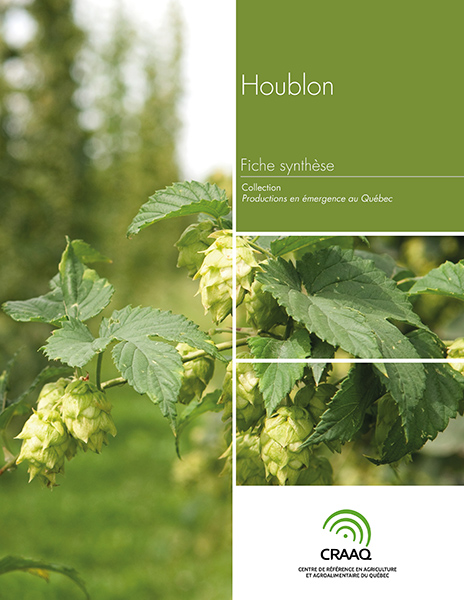 Fiche synthèse - Houblon (PDF)