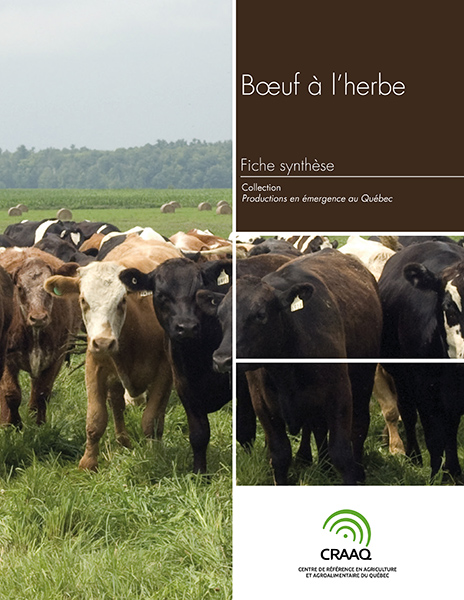 Fiche synthèse - Boeuf à l'herbe (PDF)