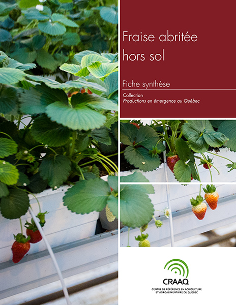 Fiche synthèse - Fraises hors sol (PDF)