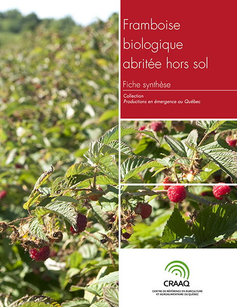 Fiche synthèse - Framboise biologique abritée hors sol (PDF)