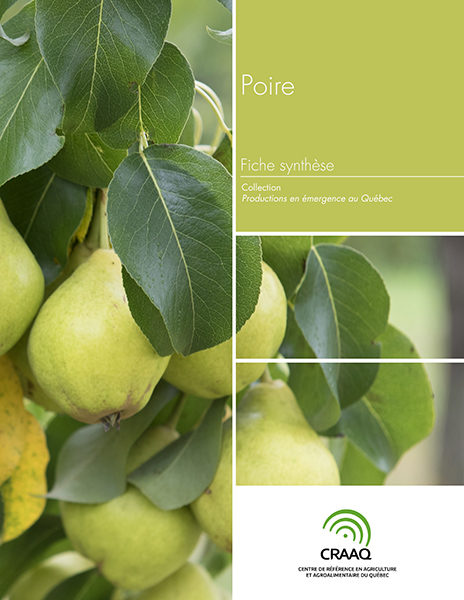 Fiche synthèse - Poire (PDF)