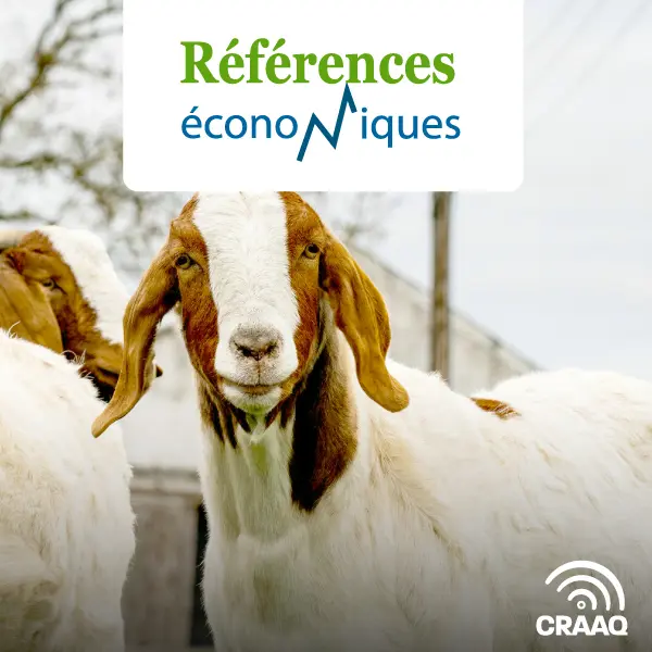 Chèvre de boucherie (50 chèvres) - Budget - Chevreaux pour la découpe - 2015