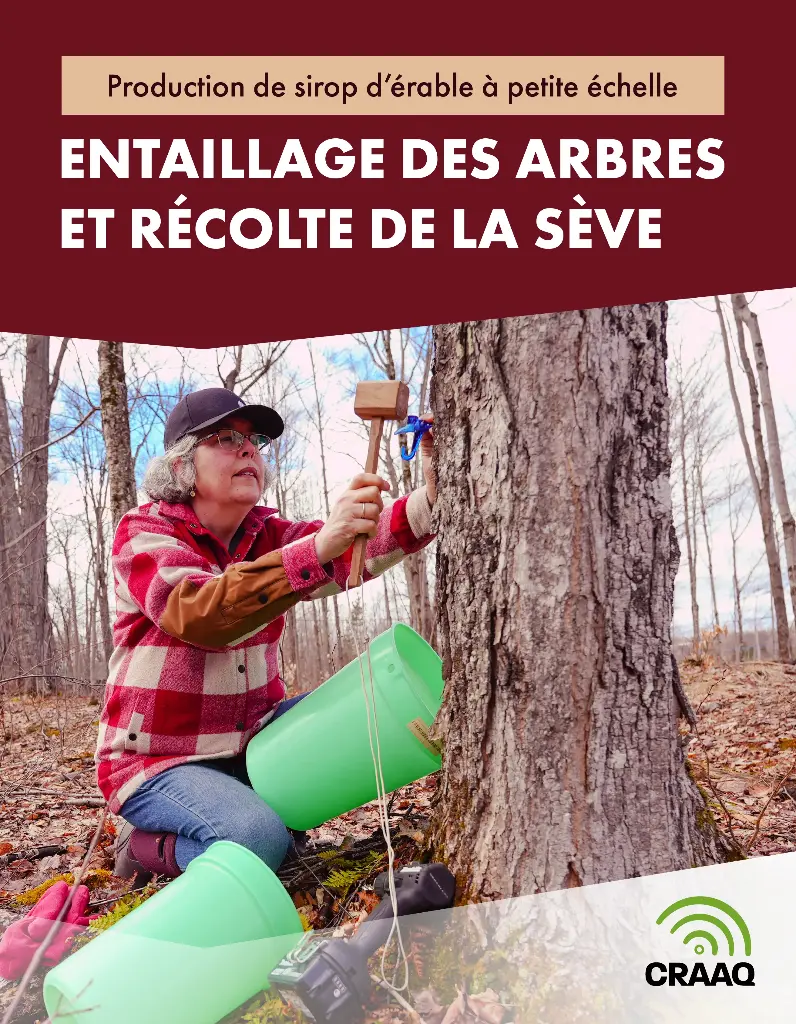 Production de sirop d'érable à petite échelle : Entaillage des arbres et récolte de la sève (PDF) 