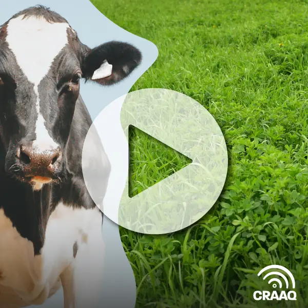 Combiner le sylvopastoralisme et la gestion adaptative multiparcelle pour favoriser le stockage de carbone et la biodiversité