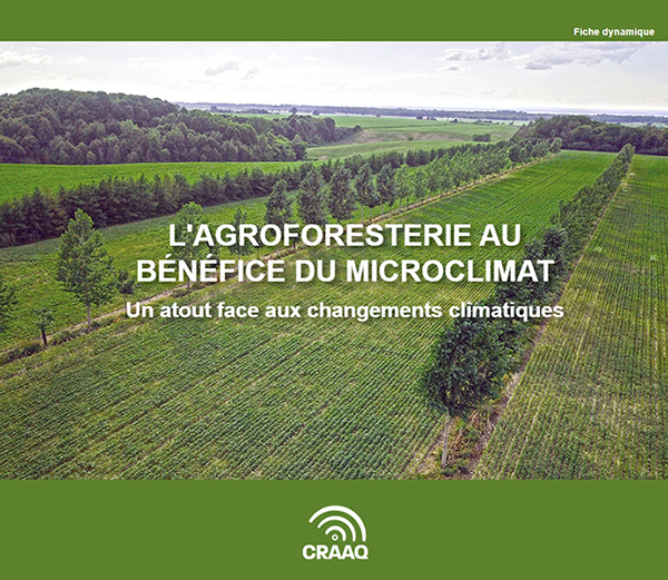 L'agroforesterie au bénéfice du microclimat : un atout face aux changements climatiques (copie)