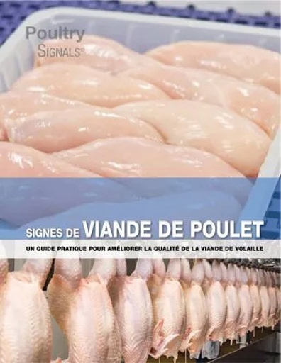 [PAUT0284] Signes de viande de poulet