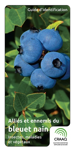 [PPTF0115] Guide d'identification - Alliés et ennemis du bleuet nain