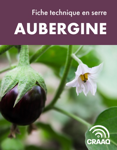 [PCUA0109-08PDF] Fiche de production de l'aubergine en serre (PDF)