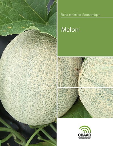 [PLEG0106-PDF] Fiche technico-économique - Melon (PDF)