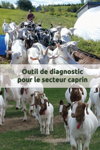 [PCAP0102 fichier Excel] Outil de diagnostic pour le secteur caprin (Excel)