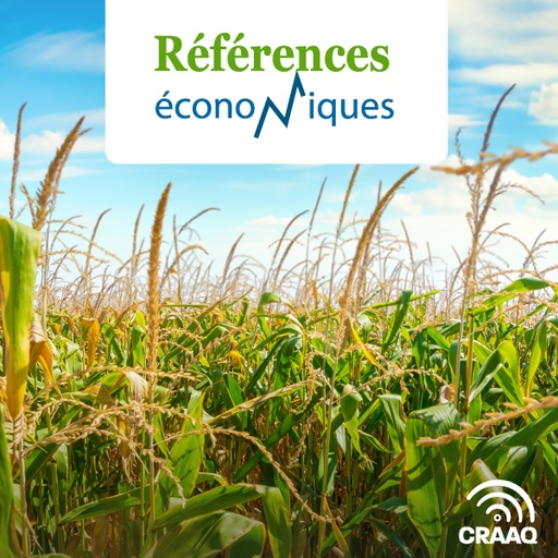 [PREF0287] Maïs sucré - Budget - Quatre méthodes de production en terre minérale - 2025