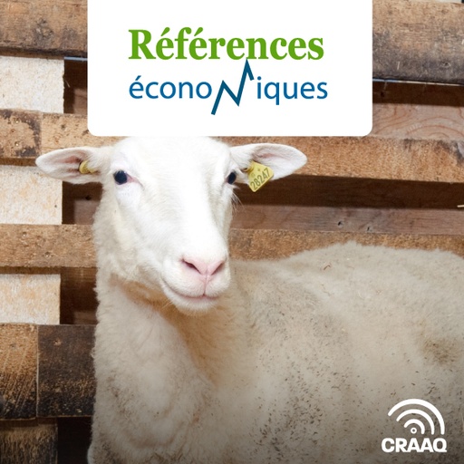 [PREF0430] Ovins - démarrage d'entreprise de vente de femelles hybrides prolifiques - Budget - 2022