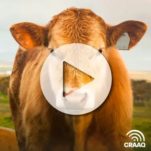 [PVIN0277] La génomique et ses applications techniques dans la production bovine canadienne (VOA)