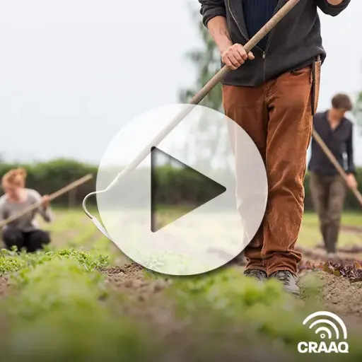 [PVIN0314] Débordé(e)? Passez à l’action et responsabilisez vos employés!