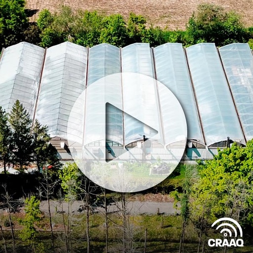 [PVIN0349] Commencer la saison du bon pied : la désinfection des serres