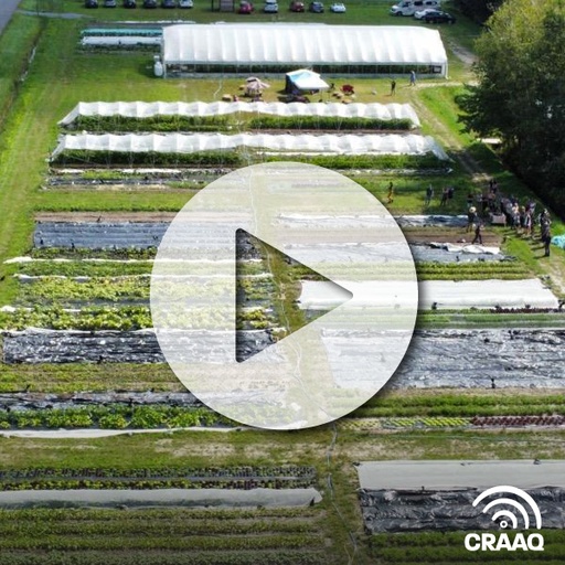 [PVIN0446] Comment réussir le démarrage d'une petite ferme maraîchère en 2023?