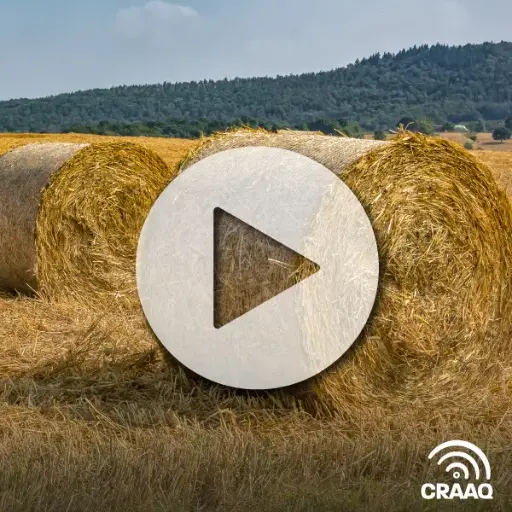 [PVIN0449] Situation et évolution des marchés du foin de commerce